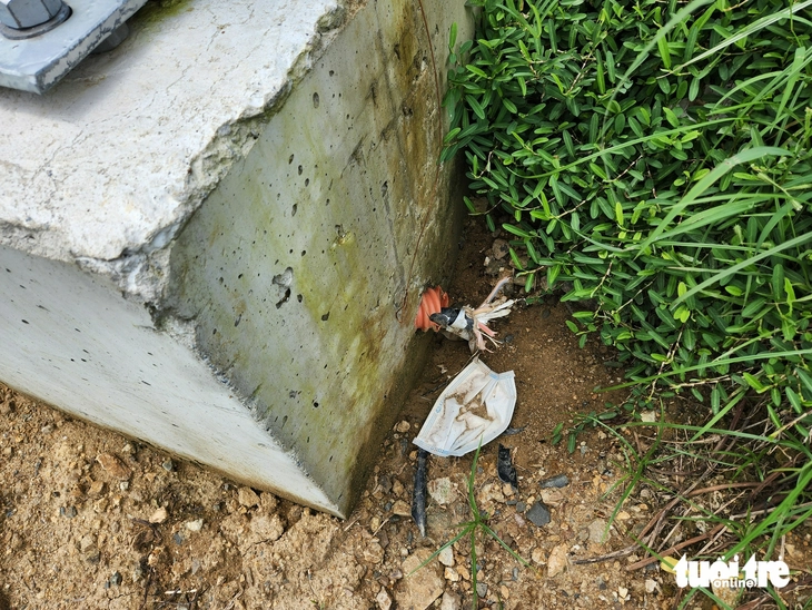 Dân bức xúc vì nạn trộm cắp dây điện chiếu sáng đường dẫn cầu Châu Đốc - Ảnh 3.