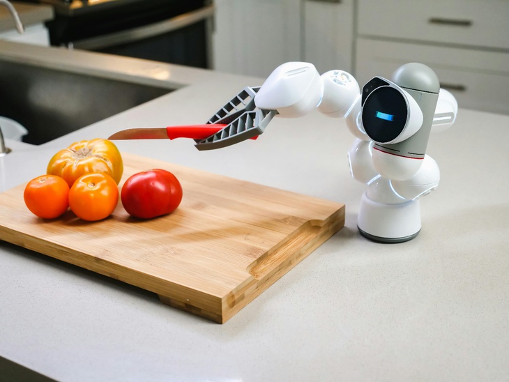 Khi AI mang hình hài robot sống giữa chúng ta - Ảnh 2.
