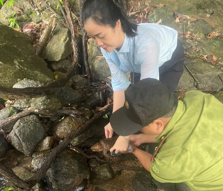 Rùa đầu to được bảo vệ nghiêm ngặt nhất đi lạc vào nhà dân - Ảnh 2.