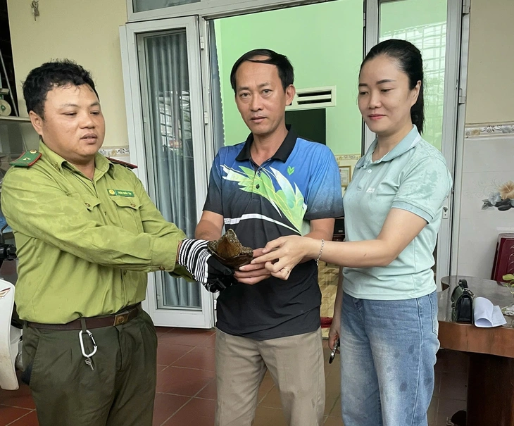 Rùa đầu to được bảo vệ nghiêm ngặt nhất đi lạc vào nhà dân - Ảnh 1.