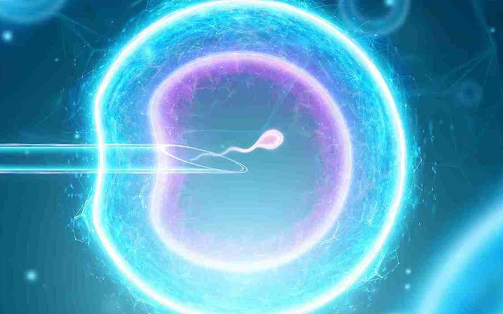 Tìm ra cách 'sạc pin’ cho tế bào già yếu, mở hướng trị bệnh tim mạch, lão hóa - Ảnh 2.