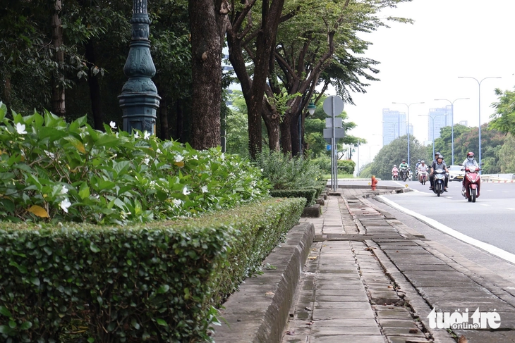 Ngày đầu thi công làn đường ưu tiên cho xe đạp trên đường Mai Chí Thọ - Ảnh 4. xe đạp - Ảnh 4.