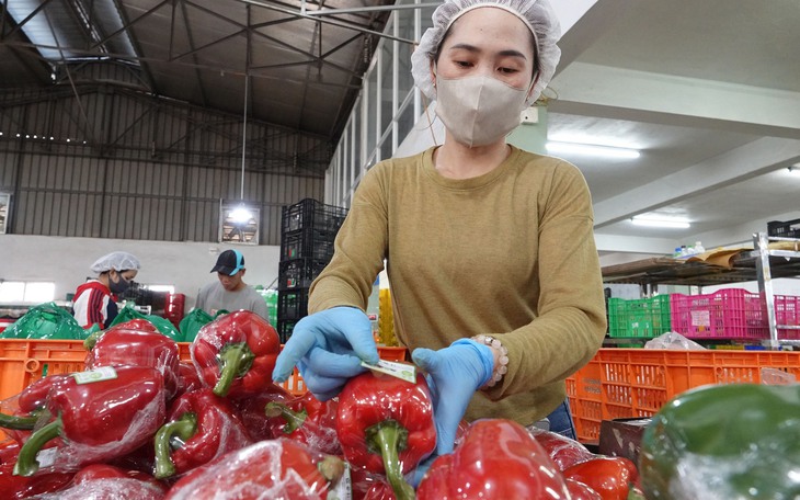 Tháo gỡ cho doanh nghiệp: dễ làm trước, khó làm sau, trước sau cũng phải làm. - Ảnh 2.