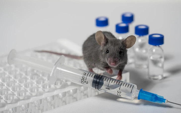 Bộ Y tế thông tin về biến thể SARS-CoV-2 đang được WHO theo dõi - Ảnh 2.