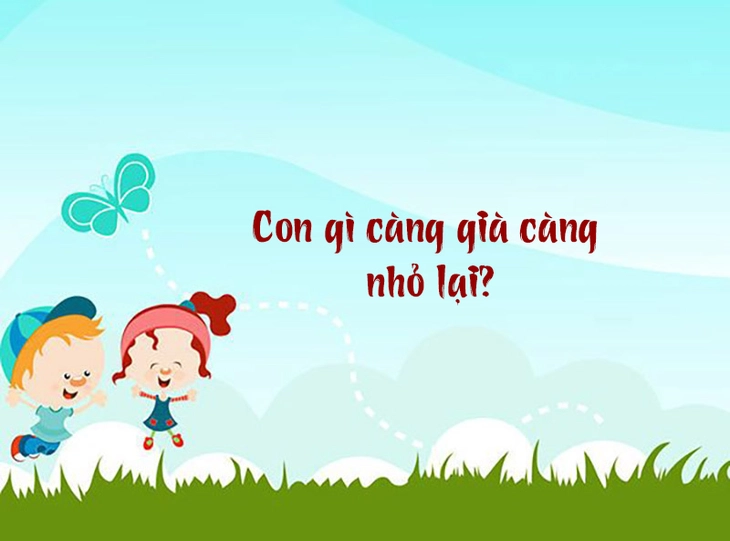 câu đố - Ảnh 1.