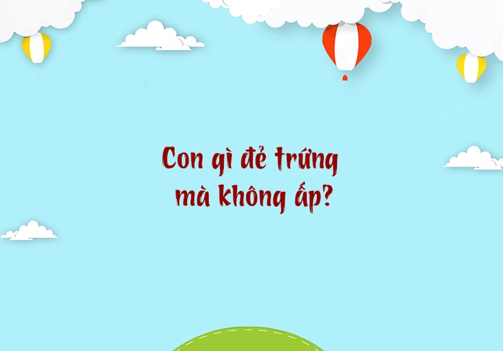 câu đố - Ảnh 3.