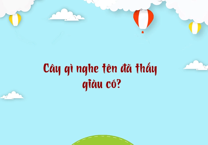 câu đố - Ảnh 3.