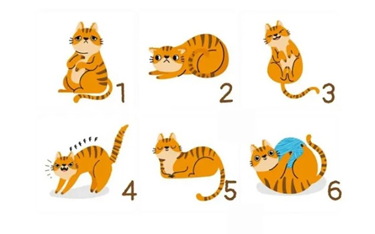 Quiz: Hình dáng đôi mắt tiết lộ bạn là người thế nào - Ảnh 3.