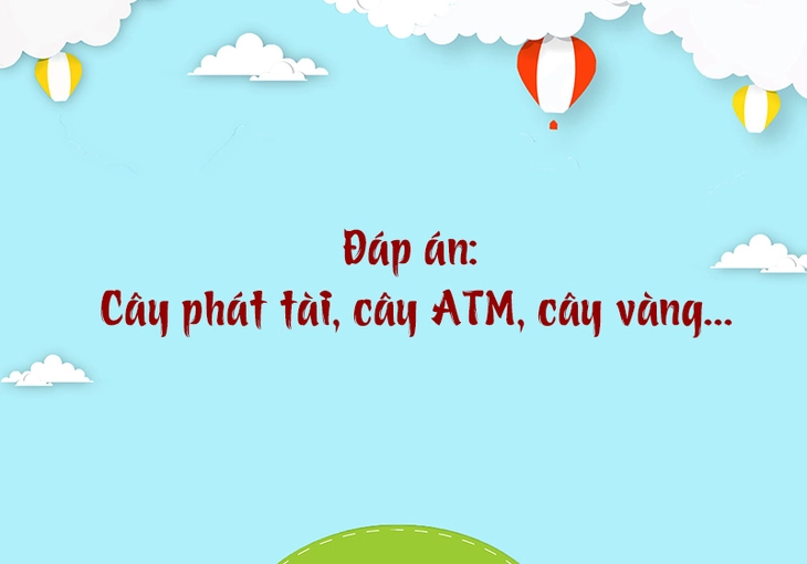 câu đố - Ảnh 4.