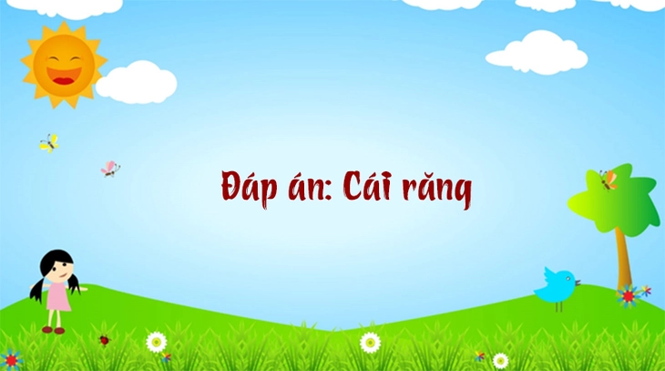 câu đố - Ảnh 6.