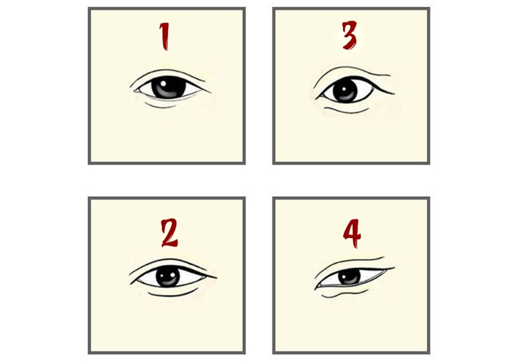 quiz - Ảnh 1.