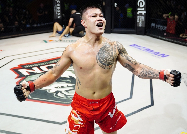 Võ sĩ Việt bị knock-out sau 18 giây ở Lion Championship 27 - Ảnh 2.