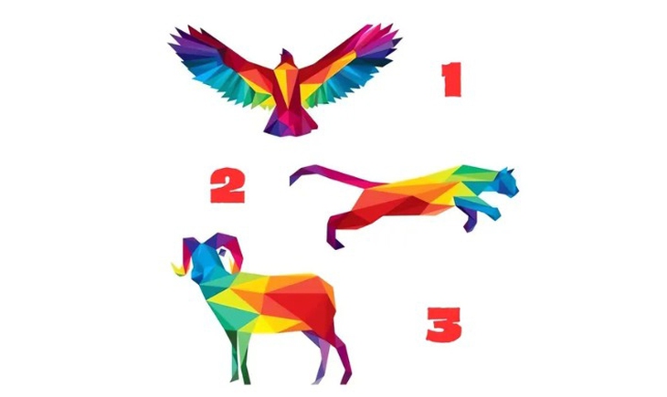 quiz - Ảnh 1.