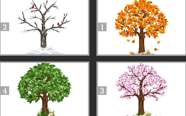 Quiz: Đường chỉ tay tiết lộ bạn hướng nội hay hướng ngoại? - Ảnh 2.