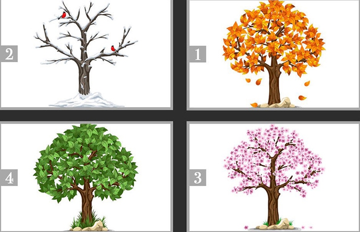 quiz - Ảnh 1.