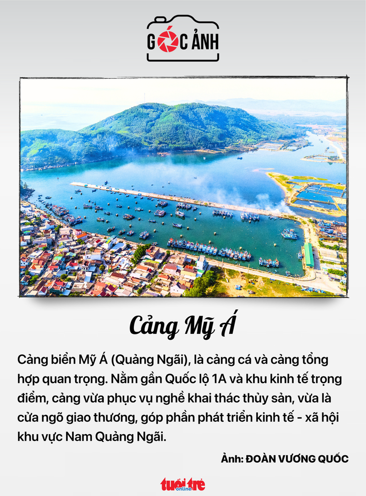 thủ tướng - Ảnh 5.