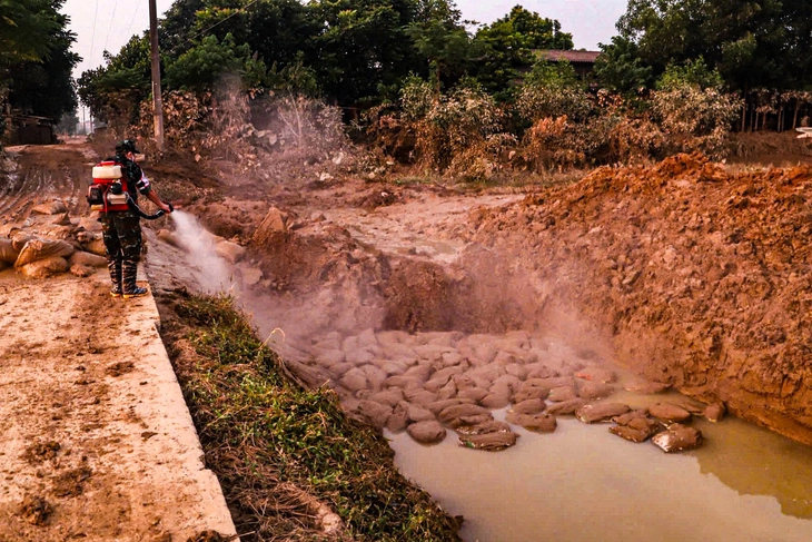 quân y - Ảnh 1.