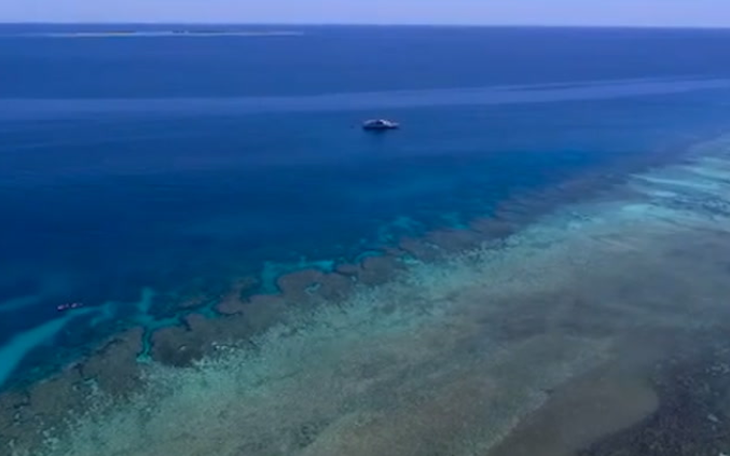 Phát hiện rạn san hô 'khủng' gần 4.000m² tại Great Barrier - Ảnh 7.