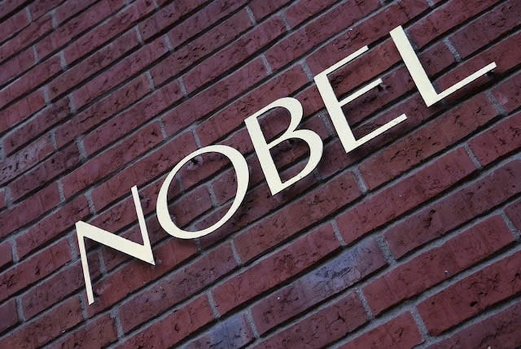 Giải Nobel - Ảnh 1.