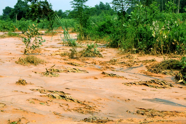 Gia cố bờ bao hồ chứa bùn thải bị vỡ ở nhà máy luyện gang thép Thái Nguyên - Ảnh 1.