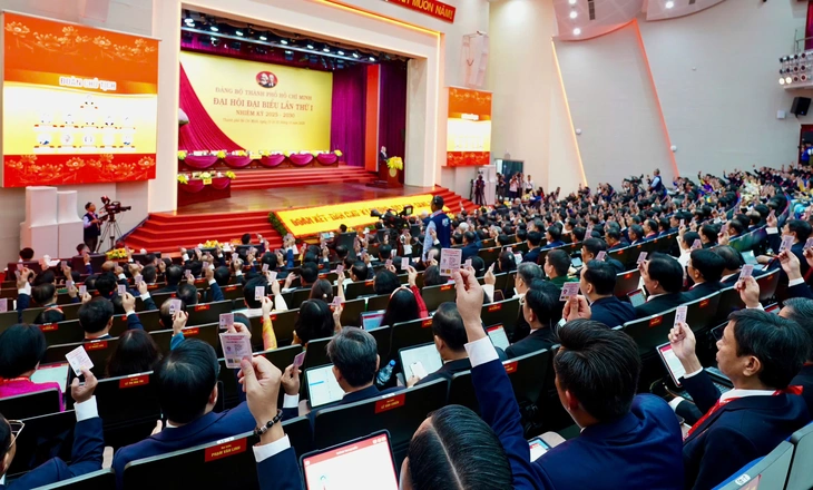 Đảng bộ TP.HCM - Ảnh 6.