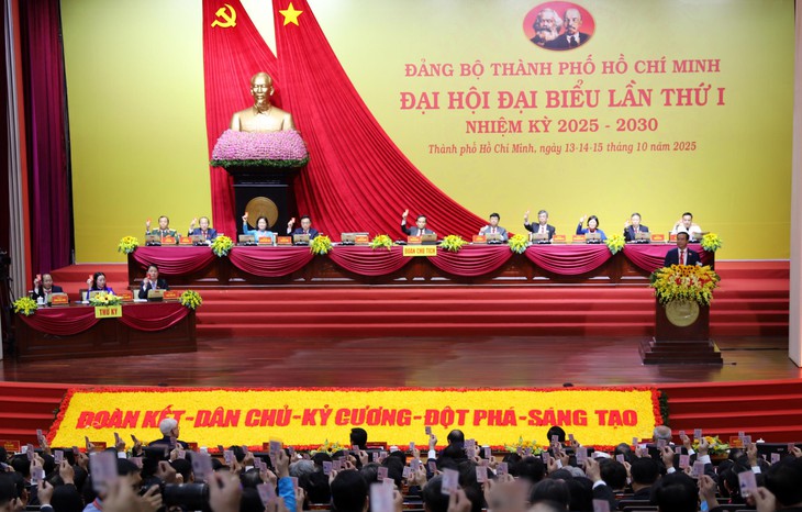 Đảng bộ TP.HCM - Ảnh 11.