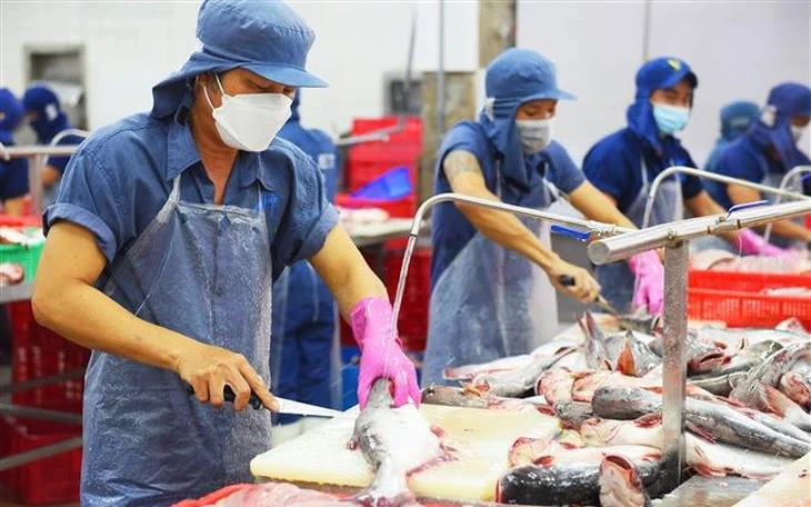 Không ghi nhật ký khai thác thủy sản bị phạt tới 700 triệu đồng - Ảnh 4.