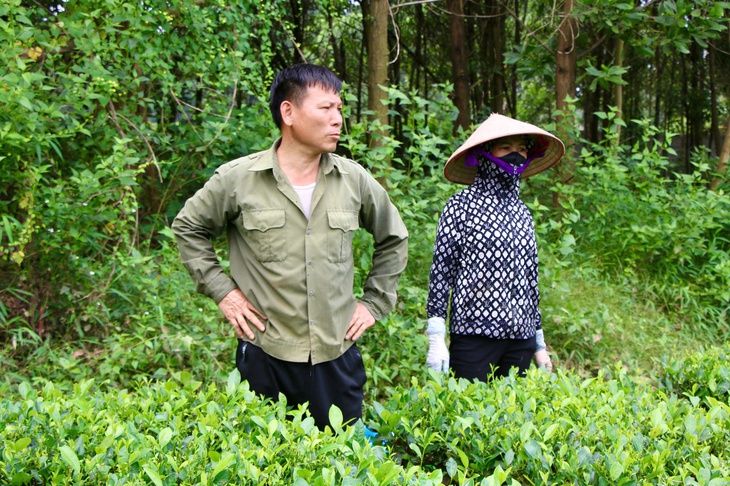 Gia cố bờ bao hồ chứa bùn thải bị vỡ ở nhà máy luyện gang thép Thái Nguyên - Ảnh 2.