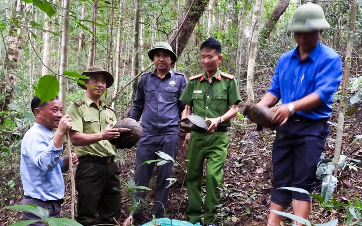 Thả 4 cá thể mèo rừng quý hiếm về rừng U Minh Hạ - Ảnh 2.