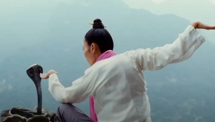 Vì sao võ rắn hiện diện nhiều trong truyện Kim Dung? - Ảnh 3.