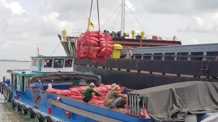 Doanh nghiệp Việt làm gì khi Philippines tính kéo dài lệnh cấm nhập khẩu gạo? - Ảnh 1.