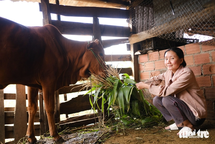 Nữ sinh viên của rừng Ia Pia chăm bò, nuôi tằm, gói bánh thuê… kiếm tiền đi học - Ảnh 6.