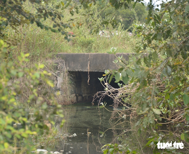 Bãi rác - Ảnh 4.