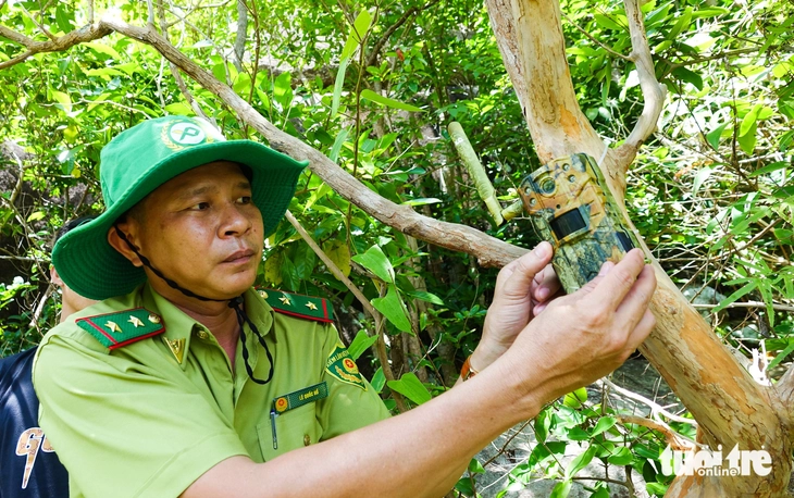 Theo chân kiểm lâm đặt bẫy ảnh săn tìm 'khỉ trắng' ở đỉnh Ông Rồng - Ảnh 1.
