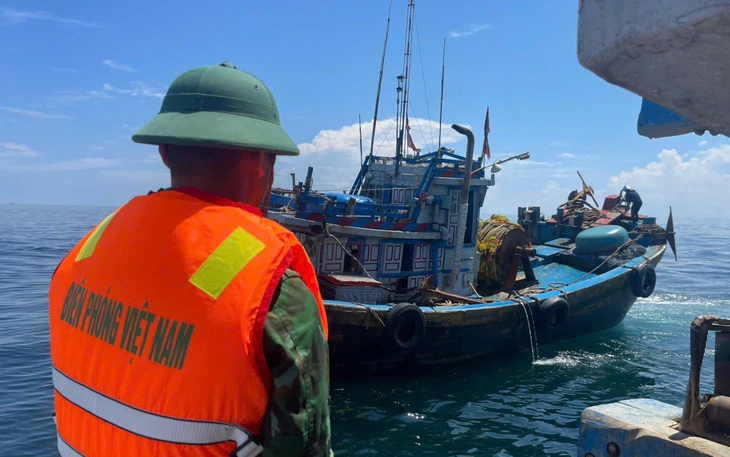 Bắt giữ tàu biển quốc tịch Panama tại cảng Quy Nhơn - Ảnh 3.