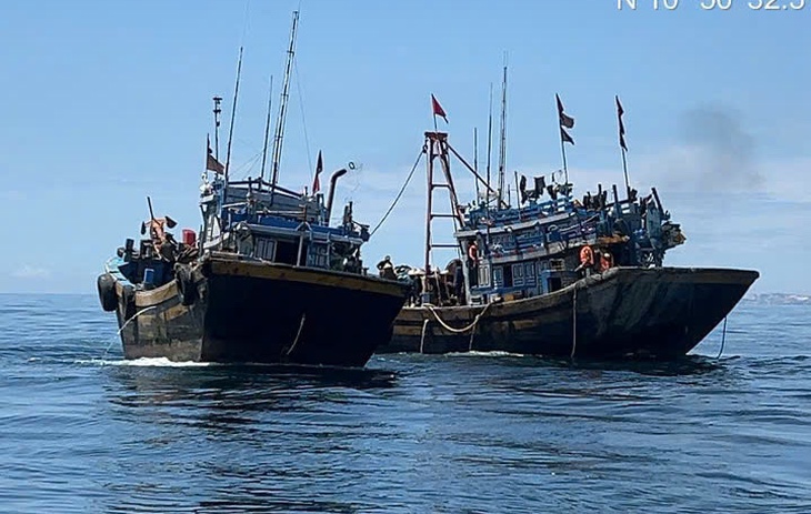 Liên tục bị bắt, tàu giã cào bay vẫn hoạt động bất chấp ở biển Lâm Đồng - Ảnh 1.