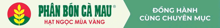 Phân bón dầu khí Cà Mau - Ảnh 4.