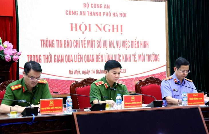 shark bình - Ảnh 3.