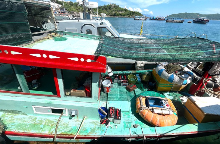 Bắt giữ nhiều thanh niên tàng trữ kích điện để khai thác thủy sản trái phép trên vịnh Nha Trang - Ảnh 2. Tàng trữ súng kích điện để đánh bắt hải sản trái phép trong vịnh Nha Trang - Ảnh 2.