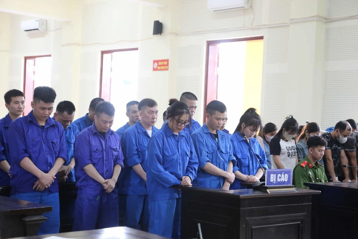 lừa đảo - Ảnh 1.