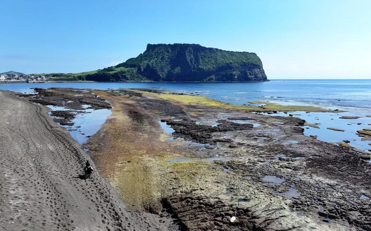 Hàn Quốc: Ma túy ngụy trang trà liên tiếp dạt vào bờ biển Jeju - Ảnh 4.