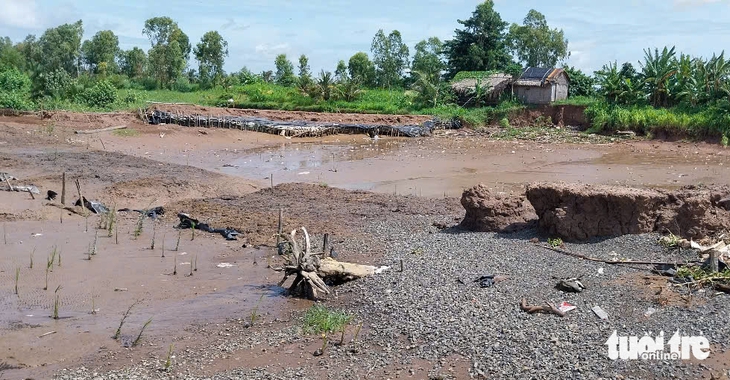 Công bố tình huống khẩn cấp sạt lở bờ biển ở Vĩnh Long - Ảnh 2.