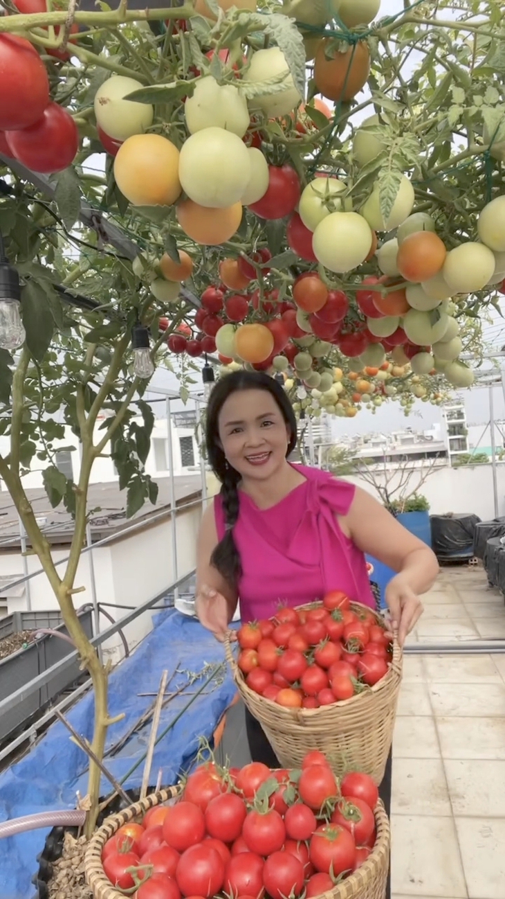 sân thượng - Ảnh 7.