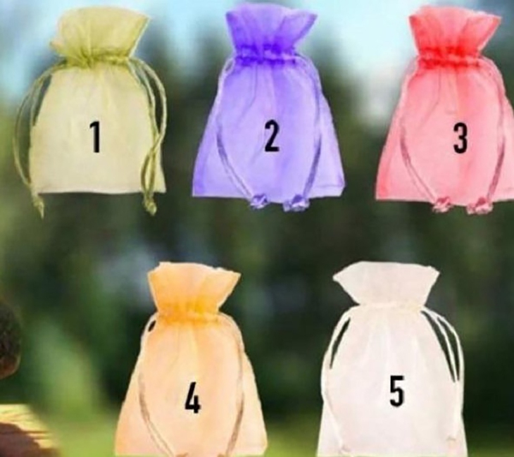 quiz - Ảnh 1.