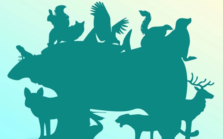 Quiz: Bạn thông minh, thân thiện hay là người tự tin, chân thành - Ảnh 2.