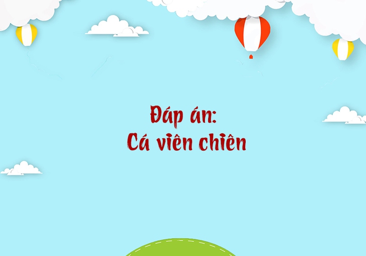 câu đố - Ảnh 4.