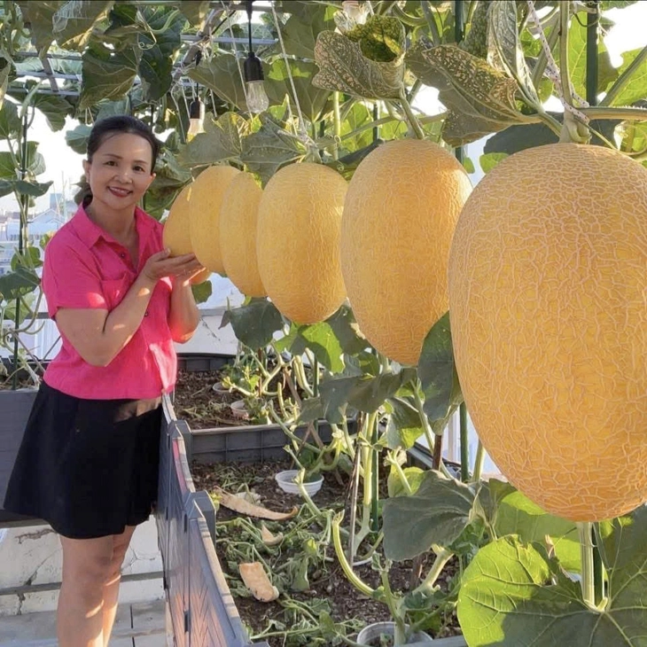 sân thượng - Ảnh 10.