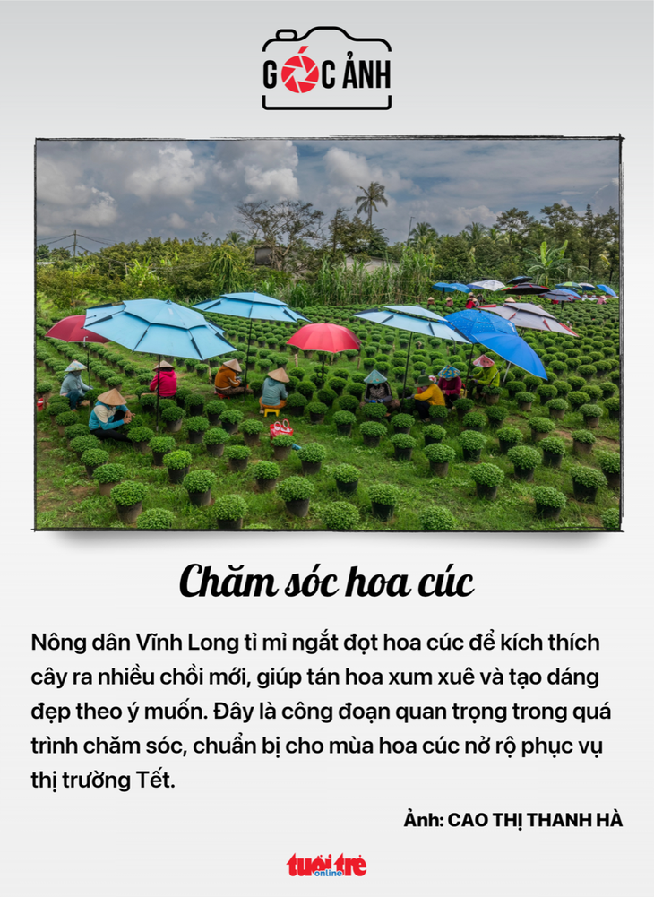 văn bằng - Ảnh 5.
