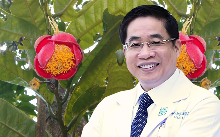 Hoa trà my mới vinh danh bác sĩ Nguyễn Hoàng Bắc - Ảnh 1.