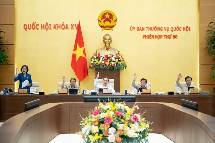 Phó chủ tịch - Ảnh 1.